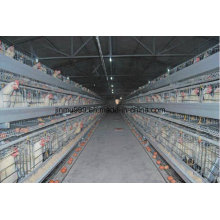 un sistema de equipo de jaula de pollo para la cría de pollos / capa de marco para el uso de granjas avícolas